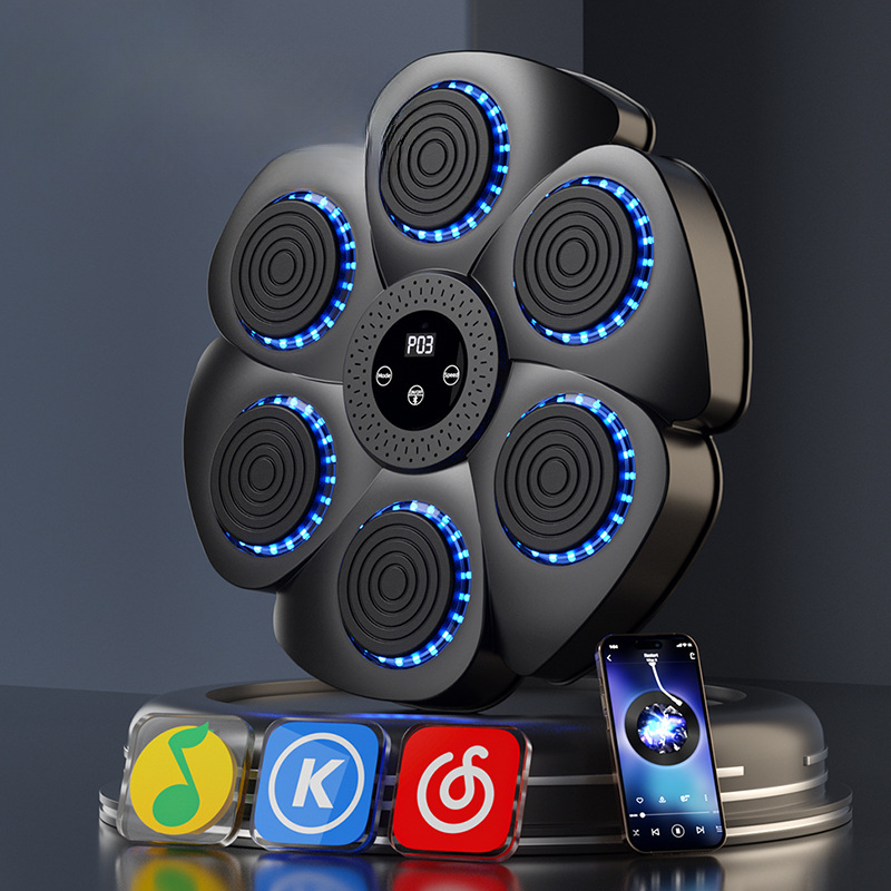 ProBoxer™ - Schlau Boxen Trainer