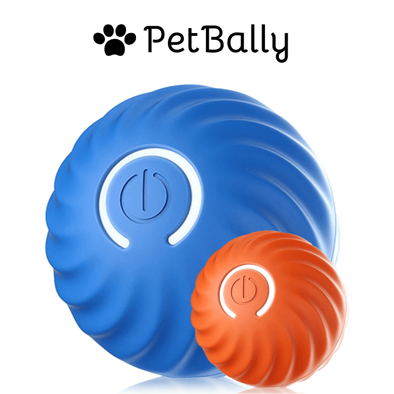 1+1 FREE | PetBally Dog Bouncing Rolling Ball