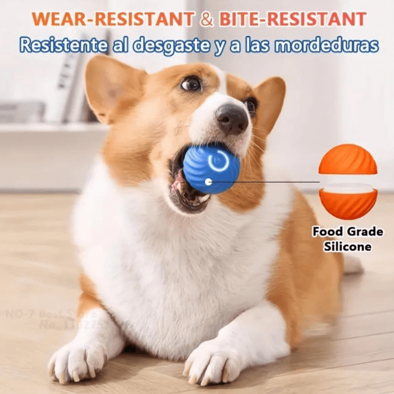 1+1 FREE | PetBally Dog Bouncing Rolling Ball
