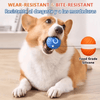 1+1 FREE | PetBally Dog Bouncing Rolling Ball