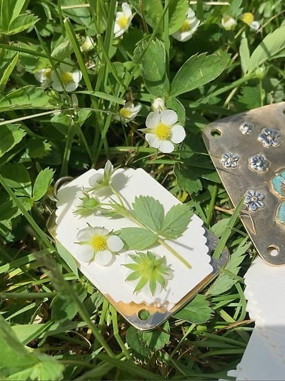 BloomPocket™ – Tragbare Blumenpresse