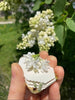 BloomPocket™ – Tragbare Blumenpresse