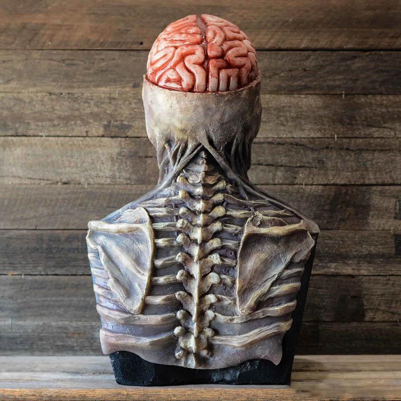 50% RABATT | BioSkull™ | Halloween-Skelettmaske