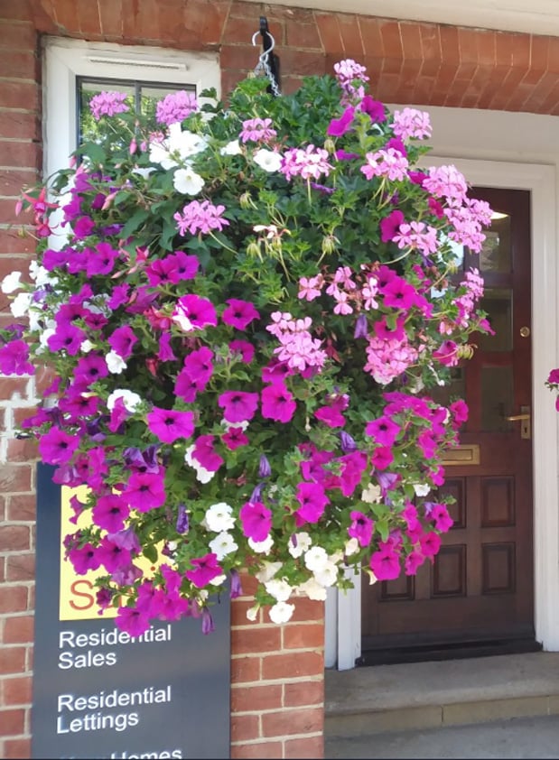 BloomLuxe™ – Künstliche Winde