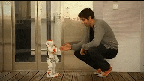 BrightBuddy™ Lern-Roboter - Gestensteuerung und Hindernisvermeidung