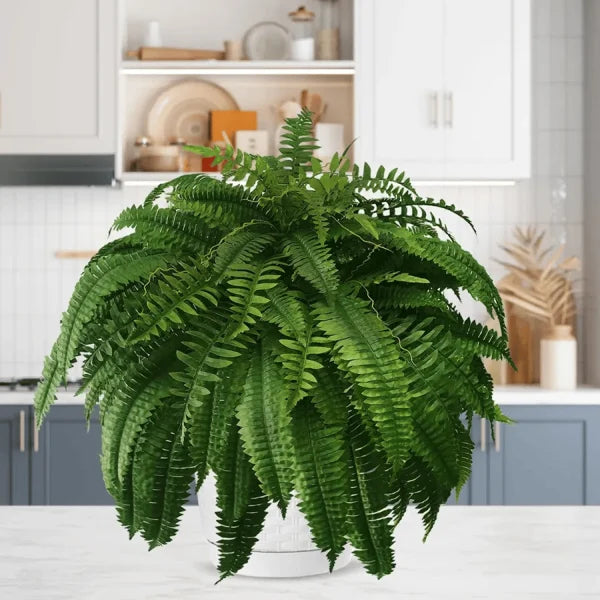 EverFern™ – Künstliche Farnpflanze