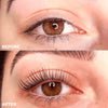 LashCurler