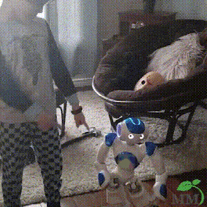 BrightBuddy™ Lern-Roboter - Gestensteuerung und Hindernisvermeidung