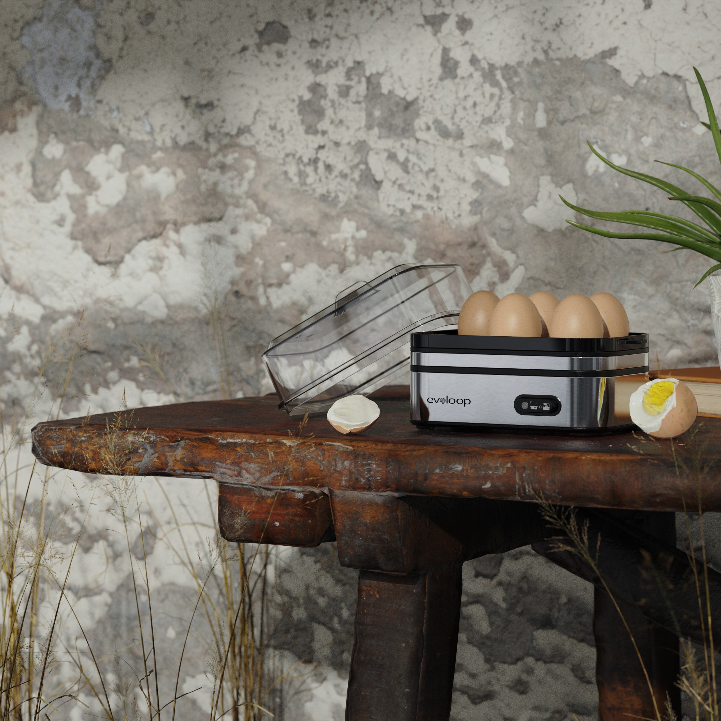 Evoloop Rapid Egg Cooker™ – Schneller Eierkocher