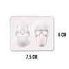 Skullicious™ – 3D-Totenkopf-Leckereien