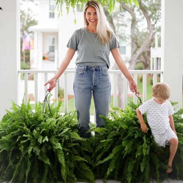 EverFern™ – Künstliche Farnpflanze