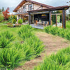 EverFern™ – Künstliche Farnpflanze