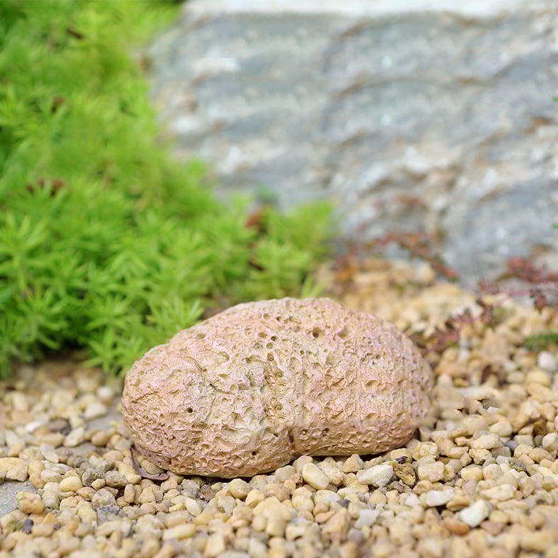 Stein-Schlüsselversteck – Unauffällig, wetterfest & ideal für den Garten
