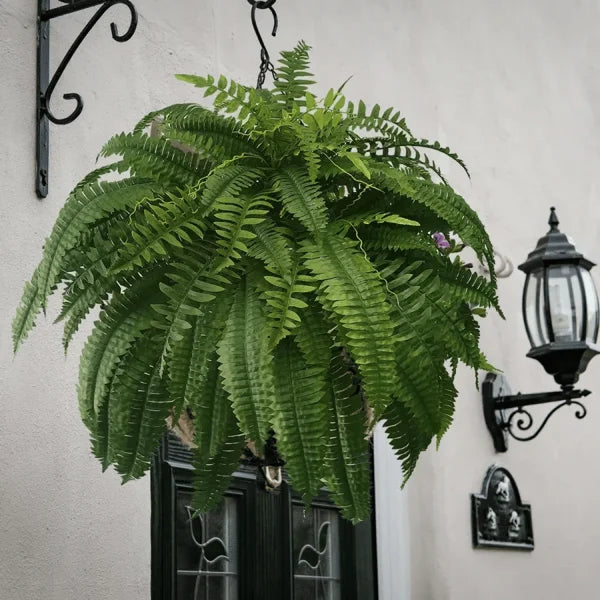 EverFern™ – Künstliche Farnpflanze
