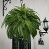 EverFern™ – Künstliche Farnpflanze