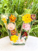 FloraGlow™ - Blumenlicht