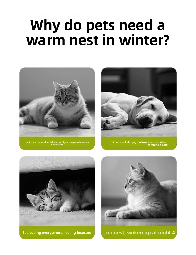 RenewMate™ – Komfort-Set