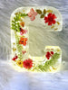 FloraGlow™ - Blumenlicht