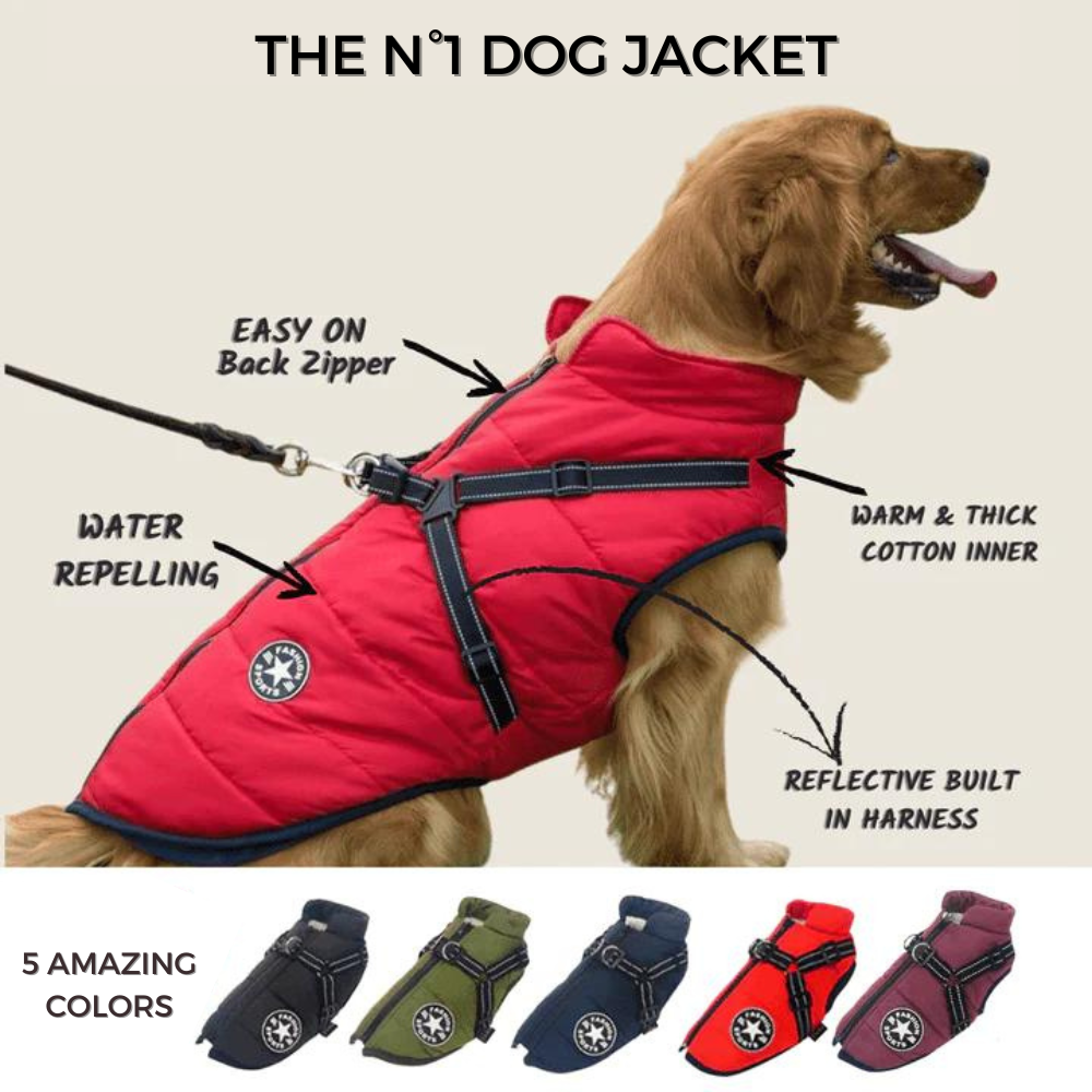 PawShield™ – Die 3-in-1 Hundejacke