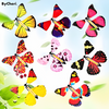 1+1 GRATIS | FlyButterfly™ Überraschungs Schmetterlinge