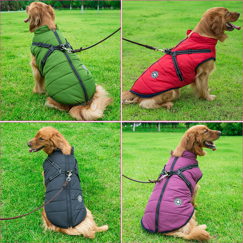 PawShield™ – Die 3-in-1 Hundejacke