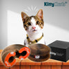 Kitty Kurlz | Magisches, organisches, faltbares Katzenspielbrett