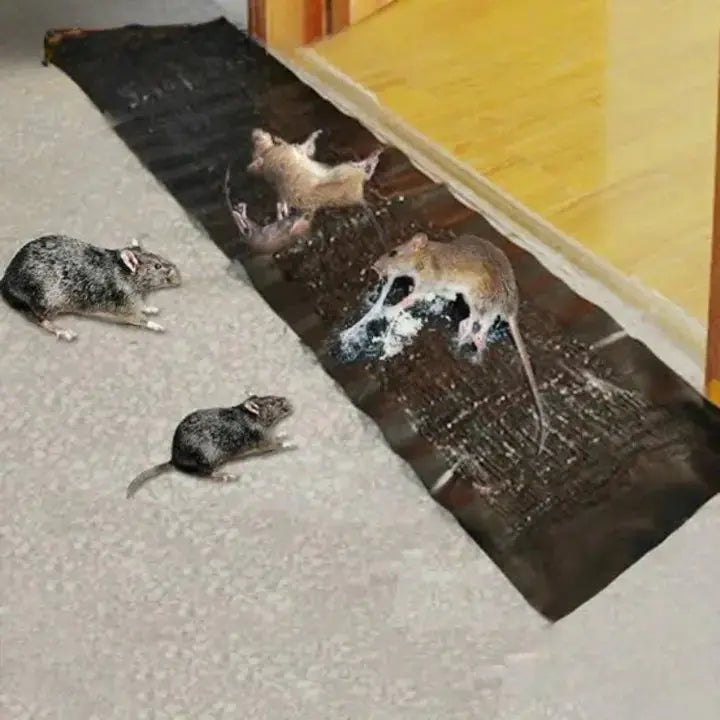 Ratten-Klebefalle mit Extra-Haftung für entspanntes Wohngefühl