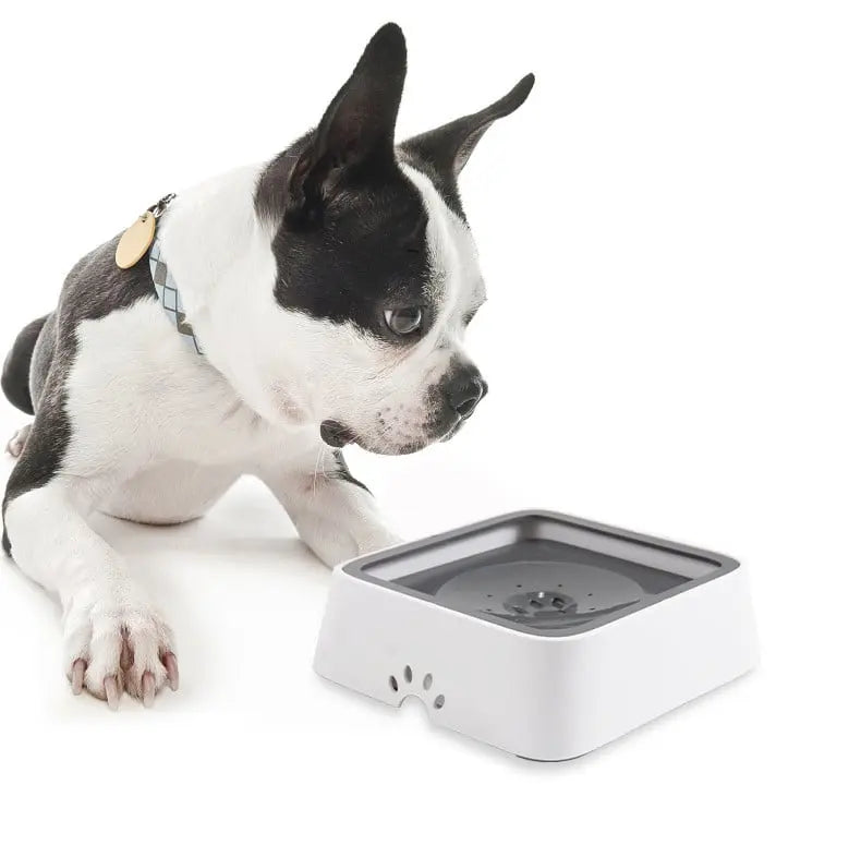 Anti-Spritz-Wasserspender für Katzen & Hunde – Frisches Wasser, saubere Böden