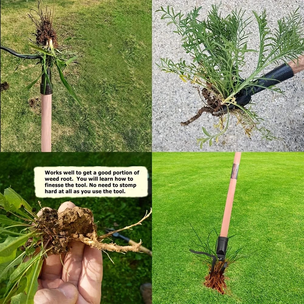 50% Rabatt | WeedPulley Stand-Up Werkzeug【Letzter Tag Rabatt】