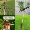 50% Rabatt | WeedPulley Stand-Up Werkzeug【Letzter Tag Rabatt】