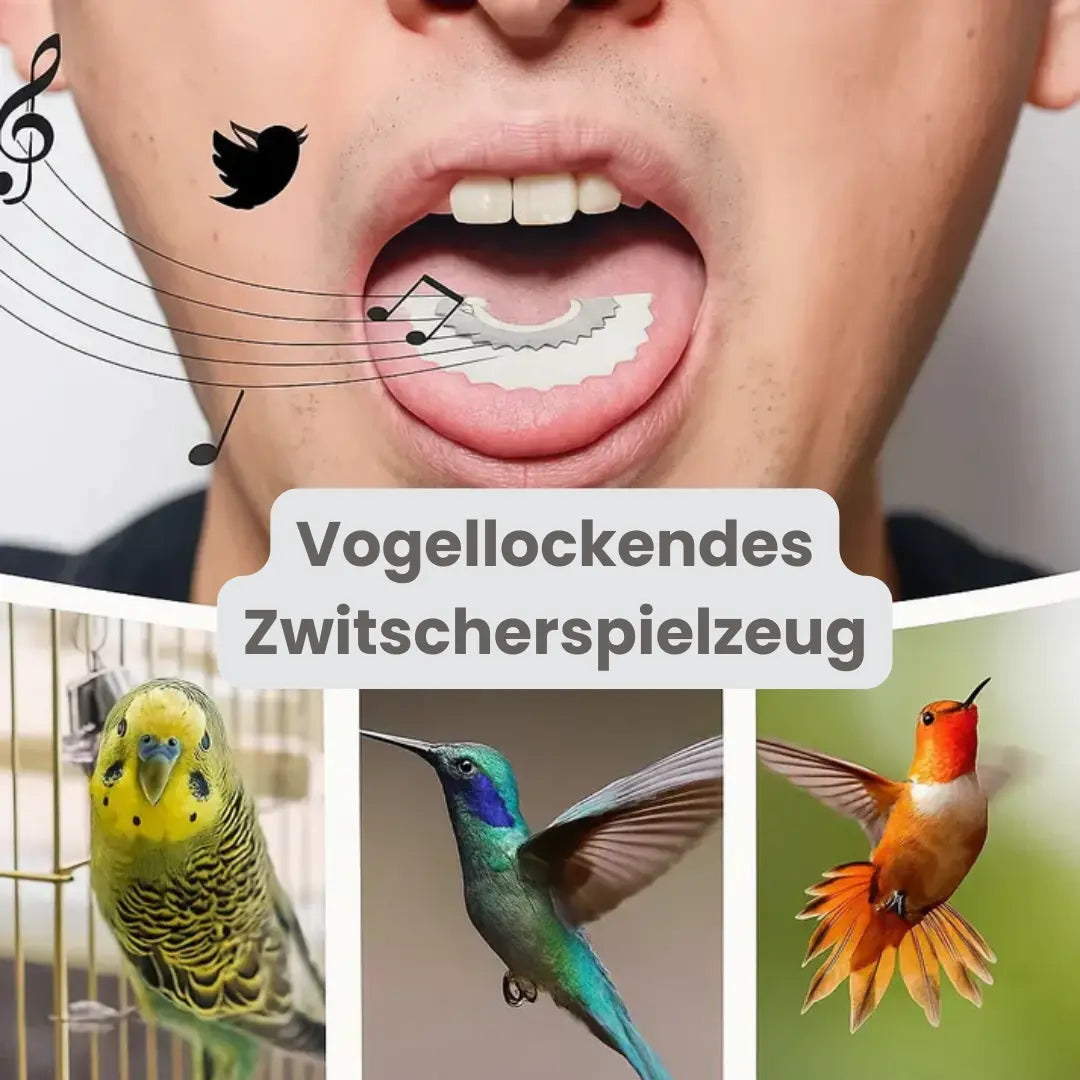 SongWhistle™ – Realistische Vogelstimmenpfeife