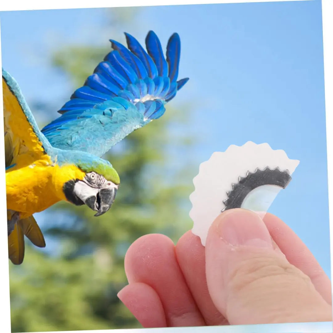 SongWhistle™ – Realistische Vogelstimmenpfeife