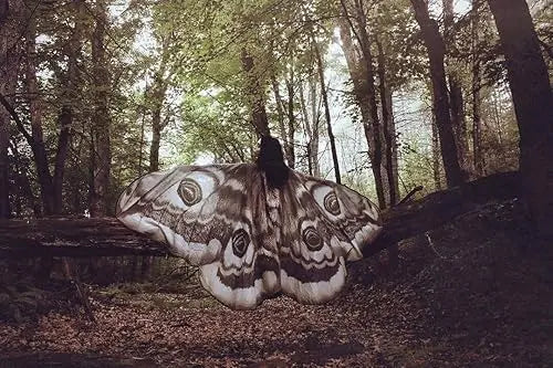 50% RABATT | LunaMoth™ | Enchant Cloak