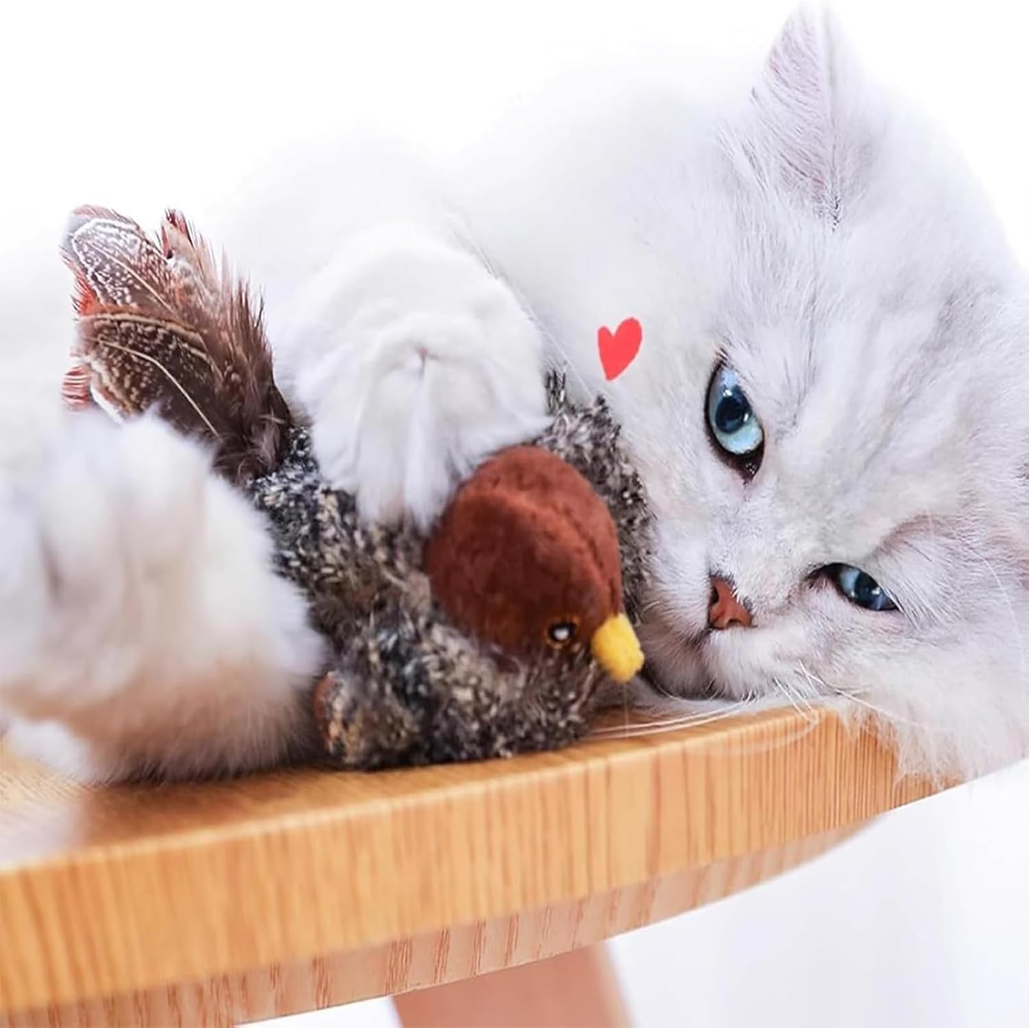 BirdHunting - Lassen Sie den natürlichen Jagdinstinkt Ihrer Katze aufblühen!