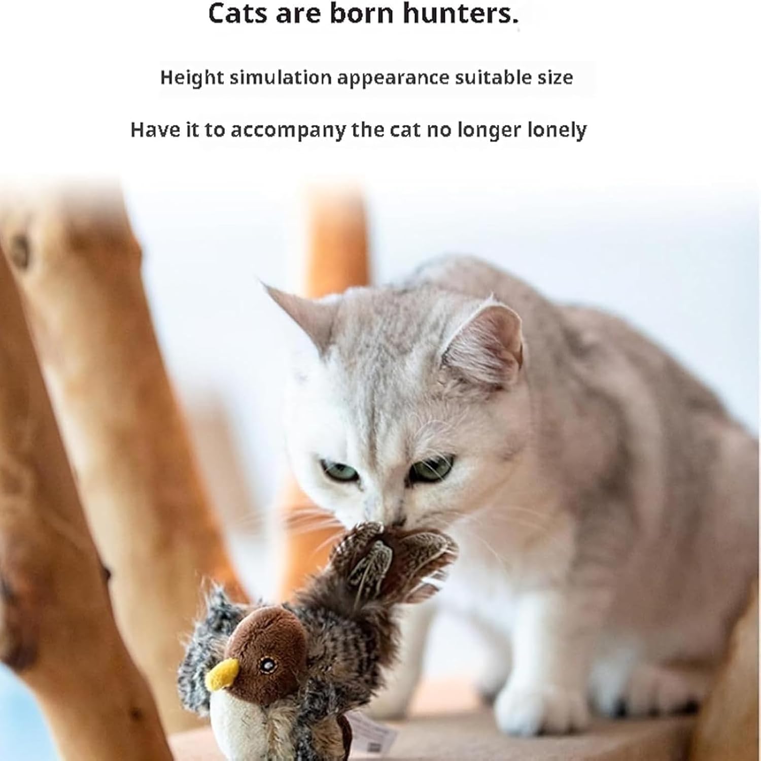 BirdHunting - Lassen Sie den natürlichen Jagdinstinkt Ihrer Katze aufblühen!