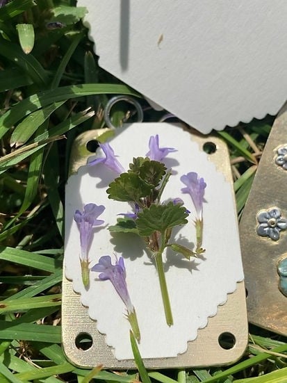 BloomPocket™ – Tragbare Blumenpresse