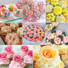 BakeBloom™ – Komplettes Set zum Dekorieren von Kuchen