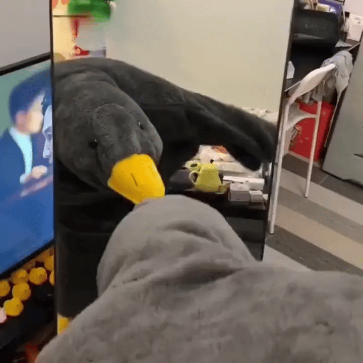 Duck Blanket Costume™ – Kuschelige Entendecke