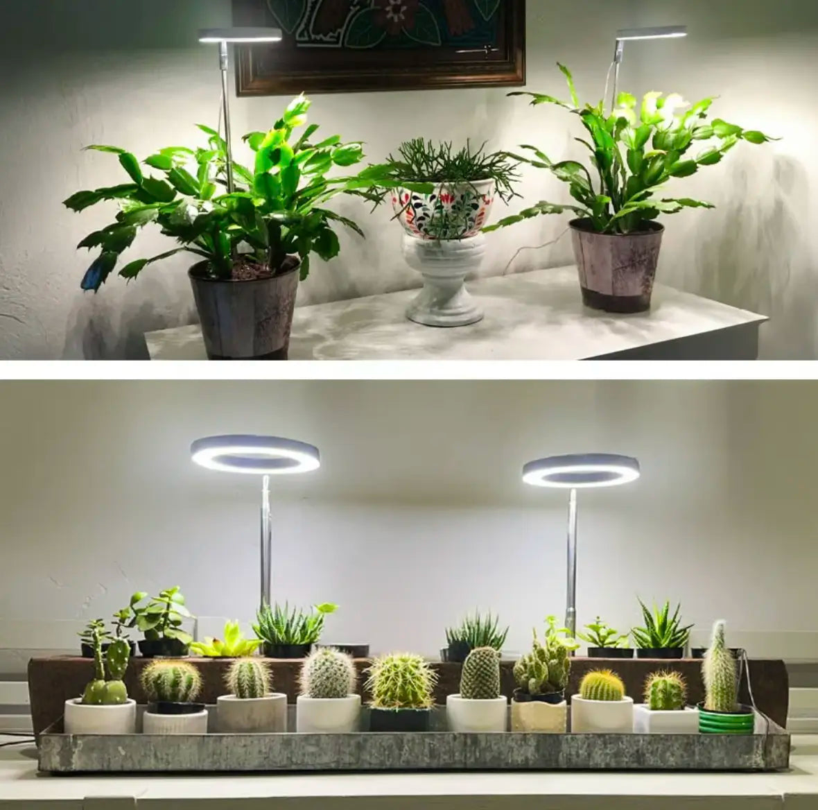 HerbaLite - Full-Spectrum Plant Lamp with Adjustable Stand [Last Day Sale]