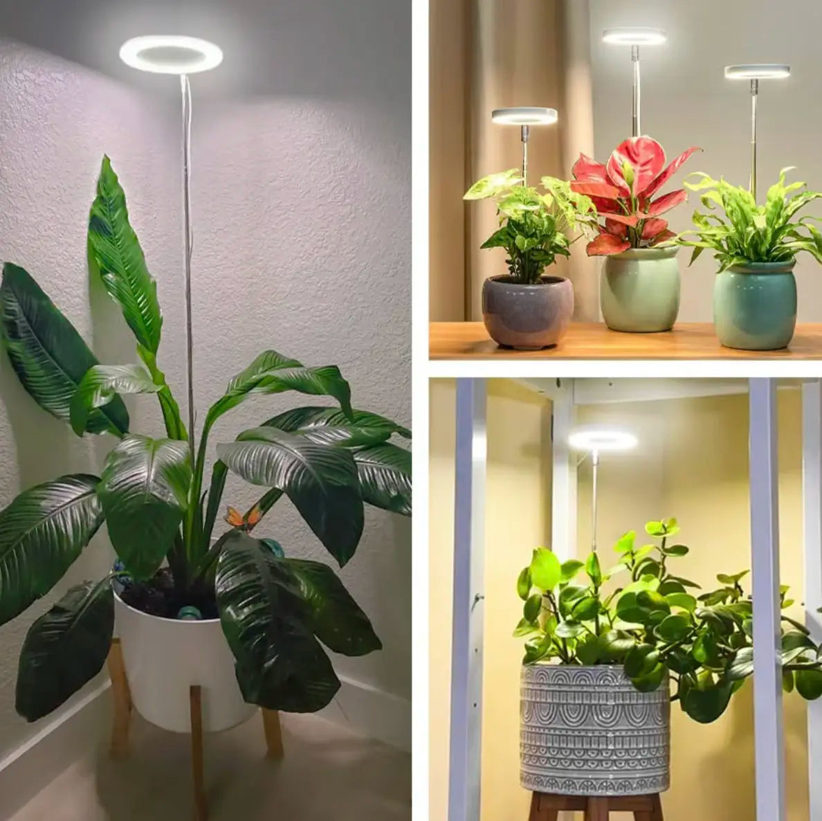 HerbaLite - Full-Spectrum Plant Lamp with Adjustable Stand [Last Day Sale]