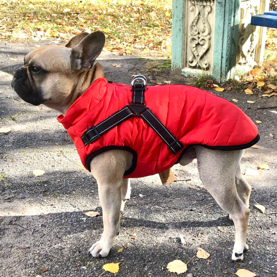 PawShield™ – Die 3-in-1 Hundejacke