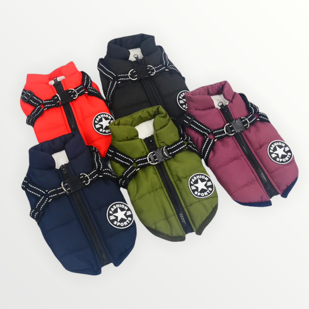 PawShield™ – Die 3-in-1 Hundejacke