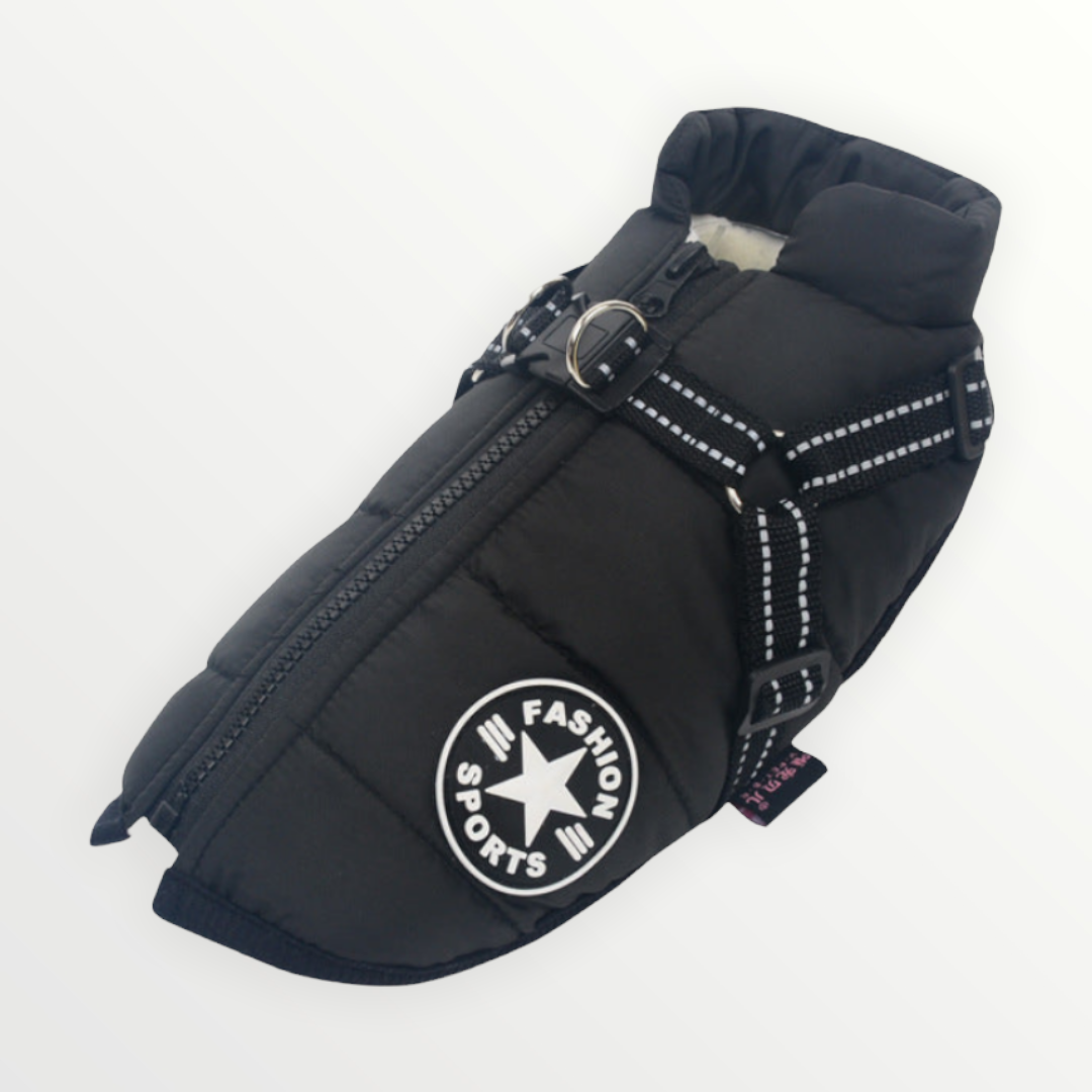 PawShield™ – Die 3-in-1 Hundejacke