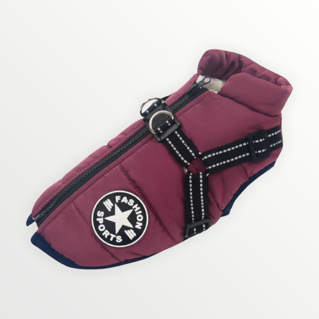 PawShield™ – Die 3-in-1 Hundejacke