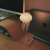 Jellyfish™ |  Glow Lamp
