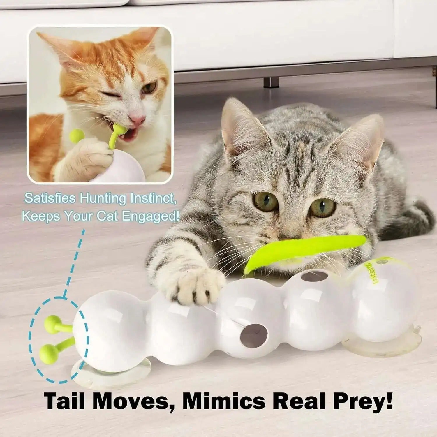 PurrWhirl – Interaktives Katzenspielzeug mit Wurmbewegung