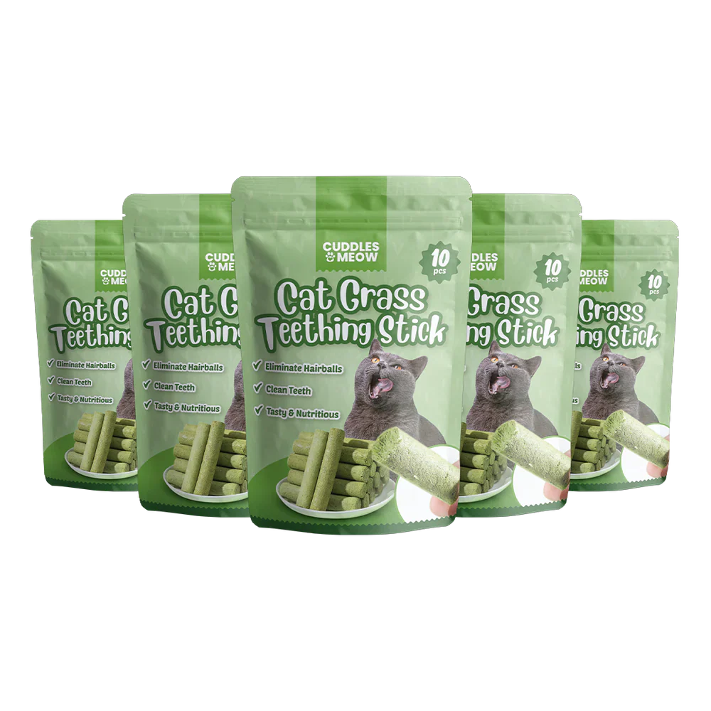 PurrClean™ – Katzenminze-Zahnstocher