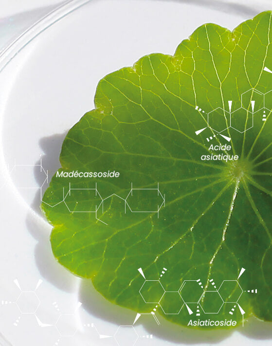 CrystalClear™  | Kollagen-Maske für die Nacht