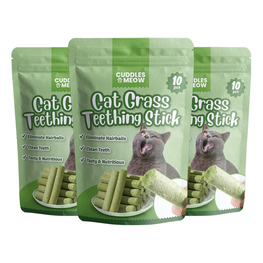 PurrClean™ – Katzenminze-Zahnstocher