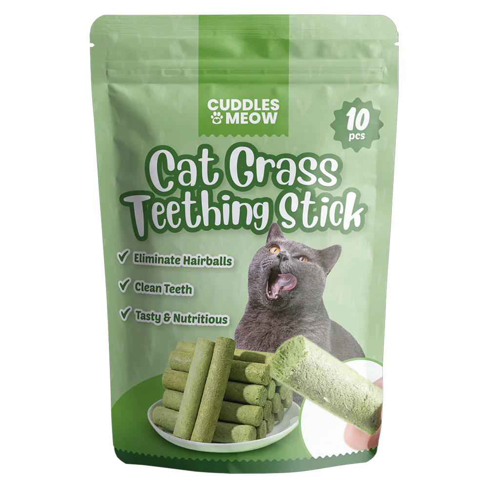 PurrClean™ – Katzenminze-Zahnstocher